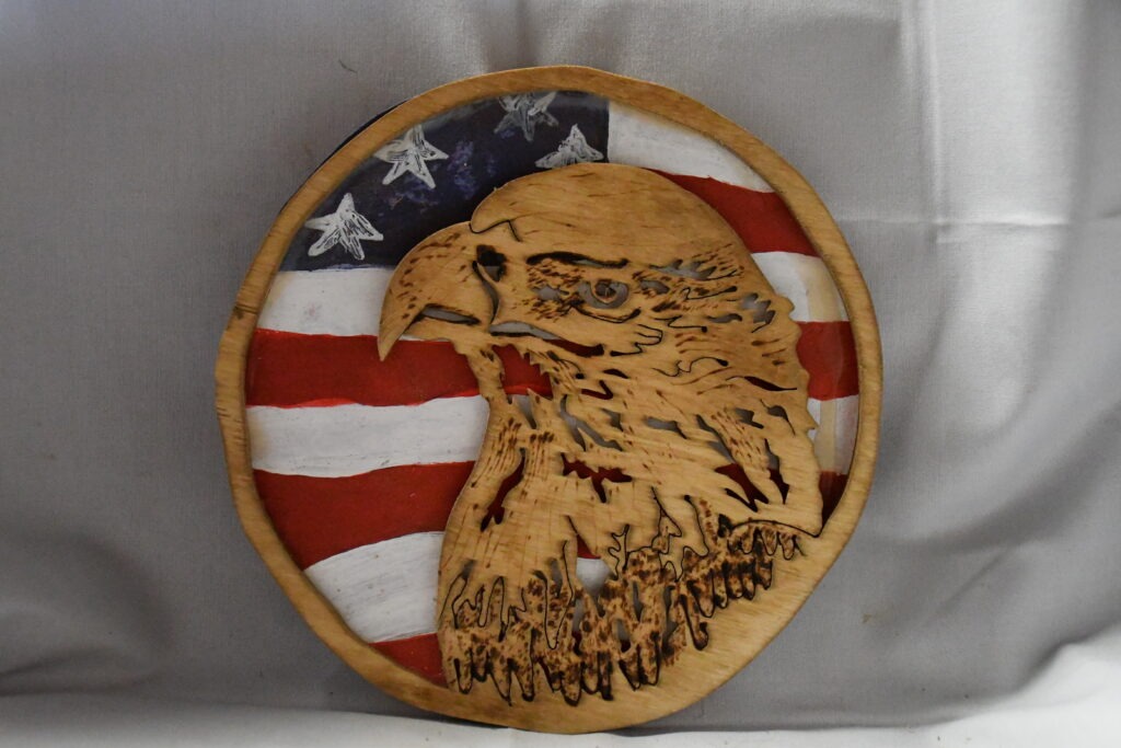 Eagle Head with White Background